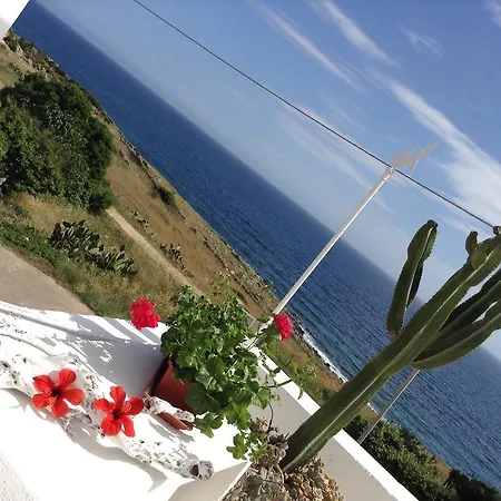 Holiday San Gregorio *