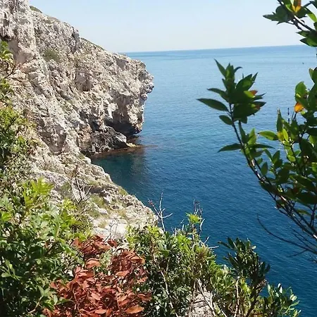 Holiday San Gregorio